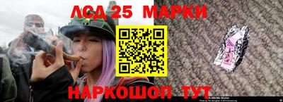 дживик Моздок