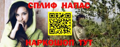 дживик Моздок